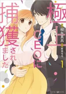 Gokujou CEO ni Hokaku Saremashita