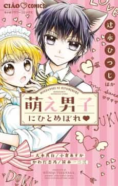 Moe Danshi ni Hitomebore
