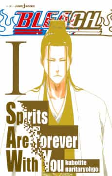 Bleach: Spirits Are Forever With You
