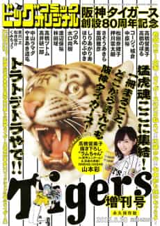 Hanshin Tigers Sousetsu 80 Shuunen Kinen Zoukan