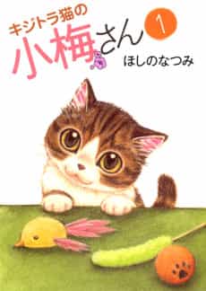Plum Crazy! Tales of a Tiger-Striped Cat