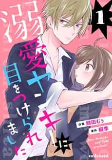 Dekiai Yankee Nimewo Tsukeraremashita