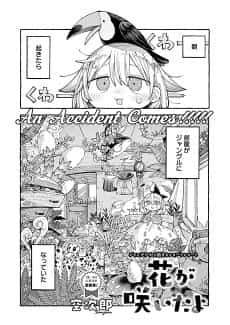 Hana ga Saita yo
