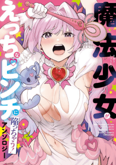 Mahou Shoujo ga Ecchi na Pinch ni Ochiichau! Anthology