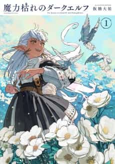 The Journey of a Dark Elf with Fading Powers