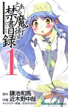 A Certain Magical Index