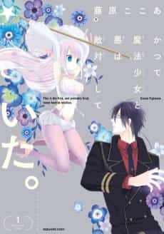 The Magical Girl and The Evil Lieutenant Used to Be Archenemies