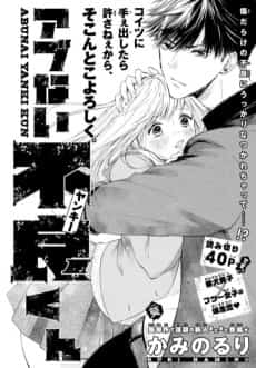 Abunai Yanki Kun