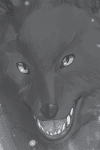 Blackas Shadow Prince