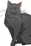 Nyaa