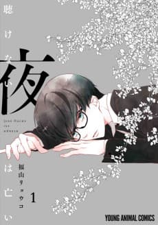 Kikenai Yoru wa Nai