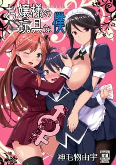 Ojousama no Omocha na Boku