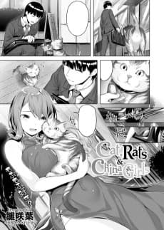 Cat, Rats & China Girls