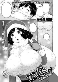 Santa's Beard