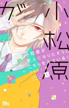 Komatsubara ga Koibito ni Naritasou ni Kochira wo Miteiru!