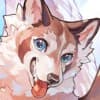 Tanuki Shippo