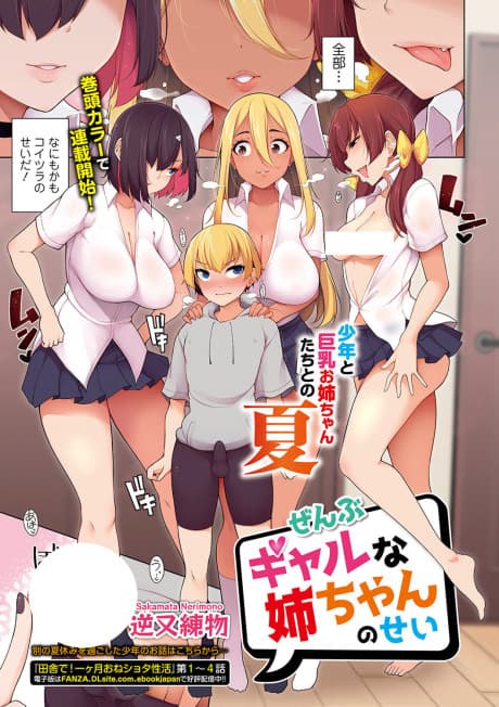 Zenbu Gal na Nee-chan no Sei